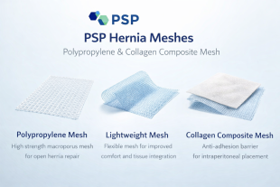 Hernia Meshes